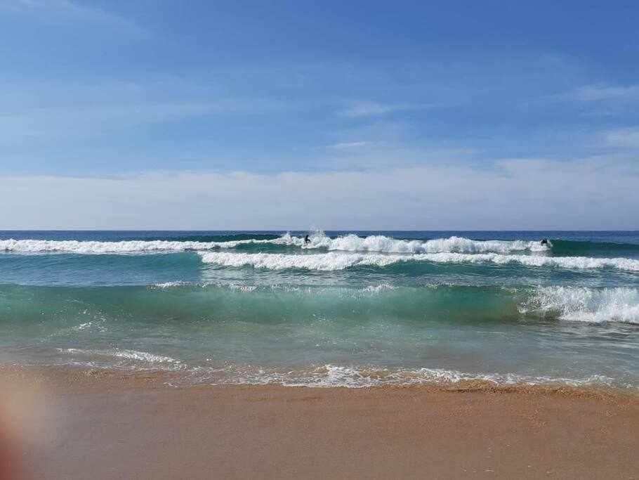 Apartamento A 150M De La Playa Wifi Gratis Denia Dış mekan fotoğraf